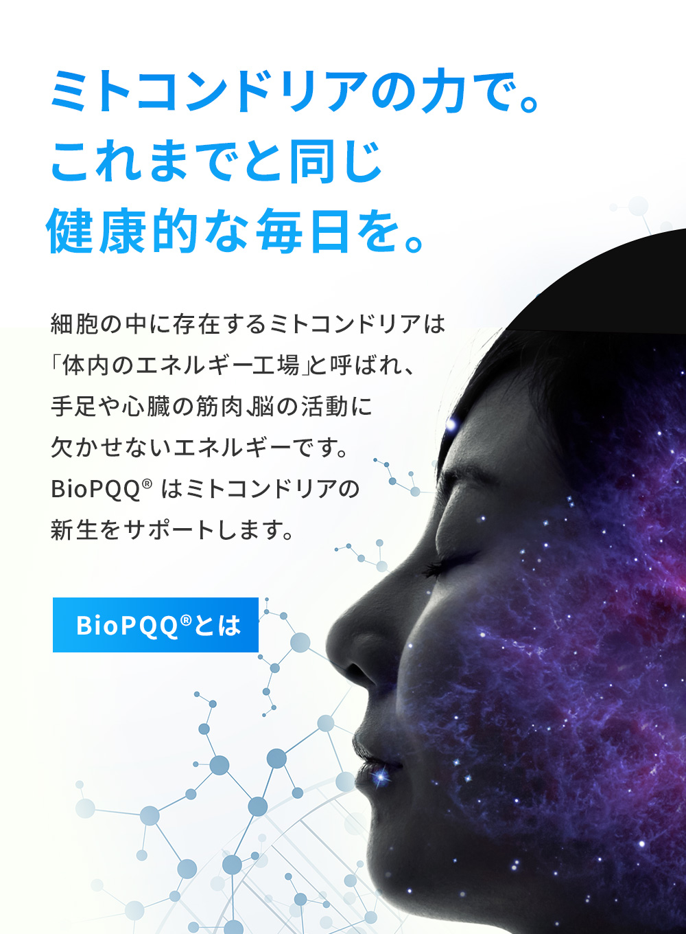 BioPQQとは