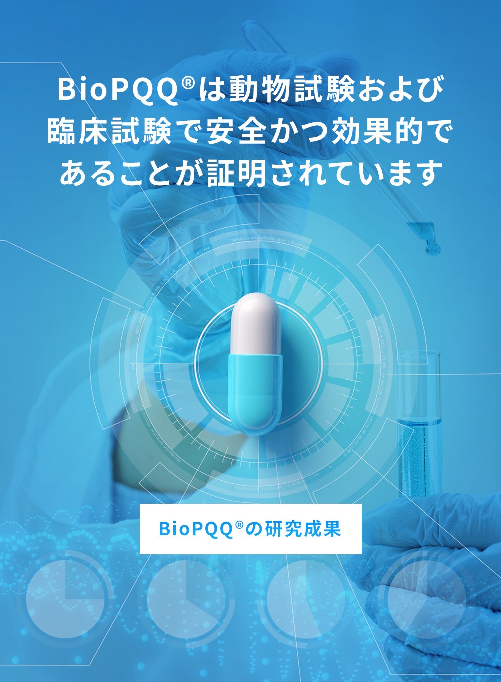 BioPQQの研究成果