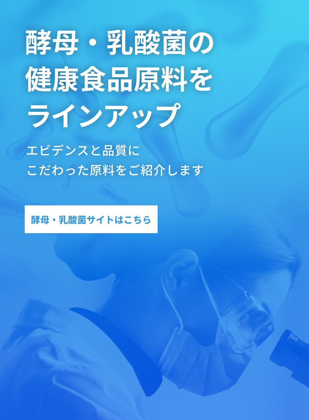 酵母・乳酸菌サイトはこちら